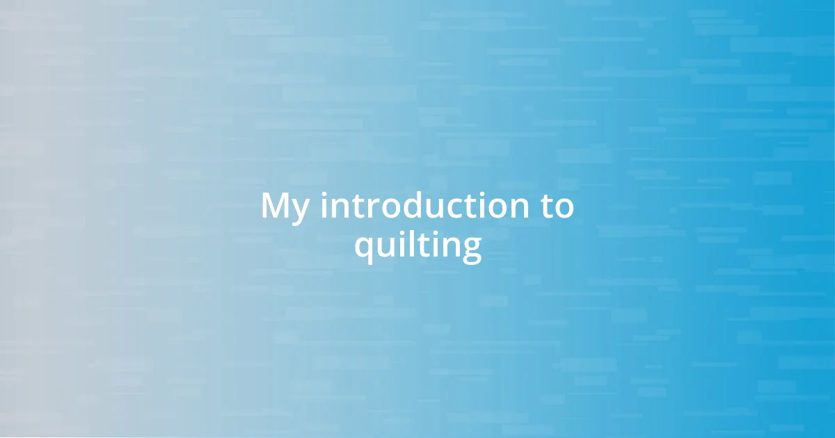 My introduction to quilting